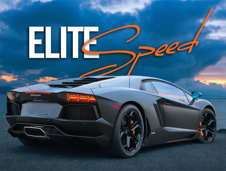 2014 Elite Speed Wall Calendar